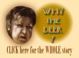 why the deer